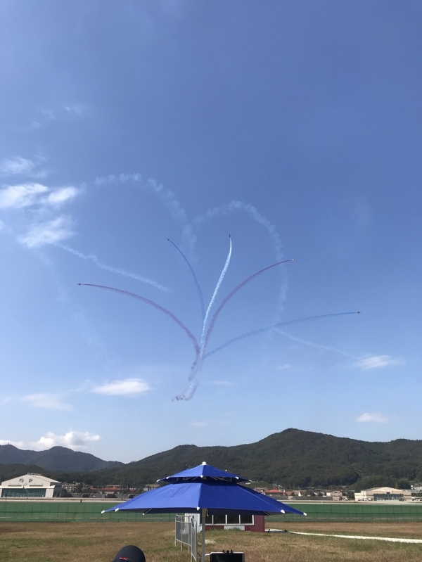 대한민국 공군 특수비행팀 '블랙이글스'가 공중곡예 비행 시범을 하고 있다.(사진=윤은식 기자)