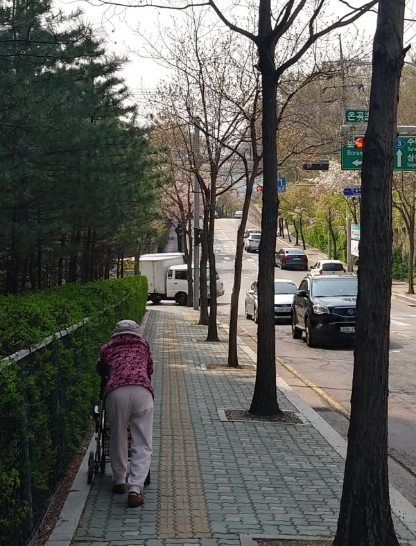 사진=서울파이낸스