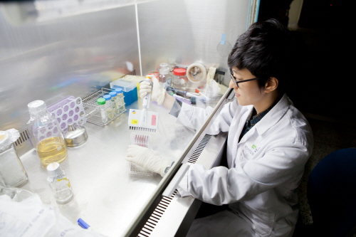 보령중앙연구소는 올해 설립 35주년을 맞았으며, 1988년 고혈압 치료제 '캡토프릴' 개발 성공 이후 수입에 의존했던 원료의약품을 중점적으로 개발해왔다. (사진=보령제약)