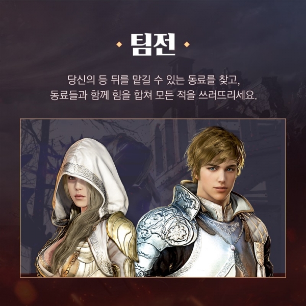 동료와 함께 플레이하는 팀전 모드 (사진=펄어비스)