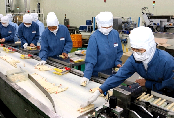 충북 청주시 흥덕구 롯데푸드 청주공장 내  어육소시지 '키스틱' 포장 라인에서 푸드위드㈜ 직원들이 일하고 있다. (사진=롯데푸드) 