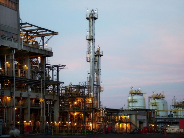 브라질 카리플렉스 현지 공장 전경. (사진= 대림산업)