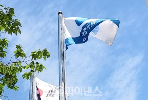 금융감독원 (사진=서울파이낸스DB)