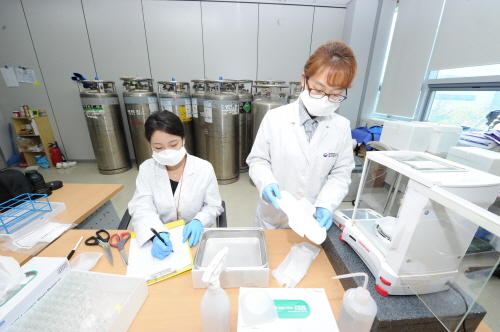 식약처 직원들이 생리대 휘발성유기화합물(VOCs) 함유 여부를 조사하고 있다. (사진=식약처)