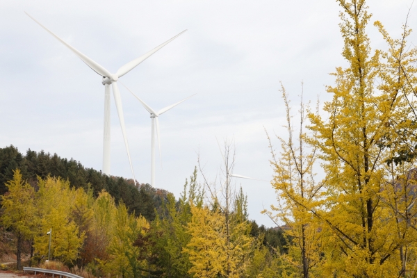 청송 노래산 풍력발전단지 (사진=한국수력원자력)