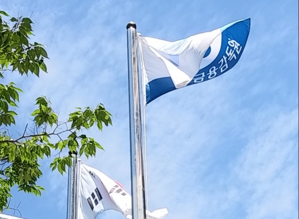 금융감독원 (사진=서울파이낸스)