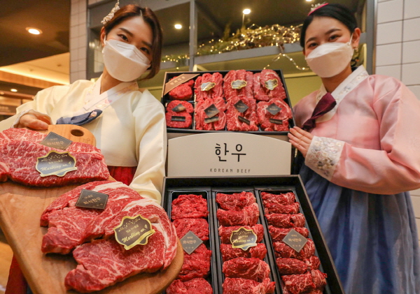 18일 서울 강남구 현대백화점 무역센터점 지하1층 식품관에서 모델들이 현대 화식한우 명품 넘버나인 세트를 소개하고 있다. (사진=현대백화점)  