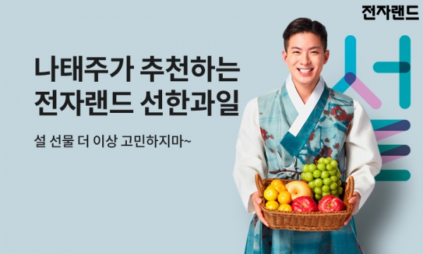 (사진=전자랜드)