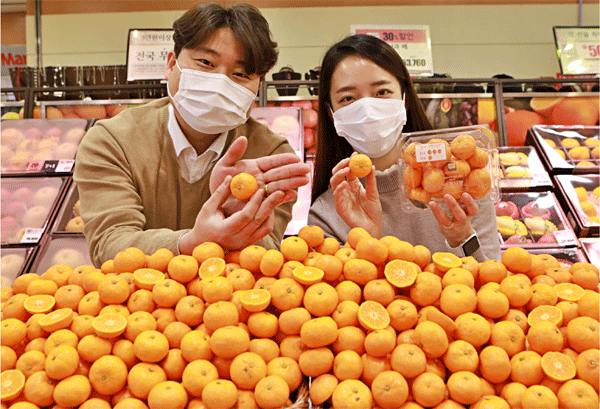 27일 서울 중구 봉래동 롯데마트 서울역점에서 송하숙 롯데마트 과일상품기획자(MD·왼쪽)와 모델이 제주산 '미니향'을 소개하고 있다. (사진=롯데마트) 