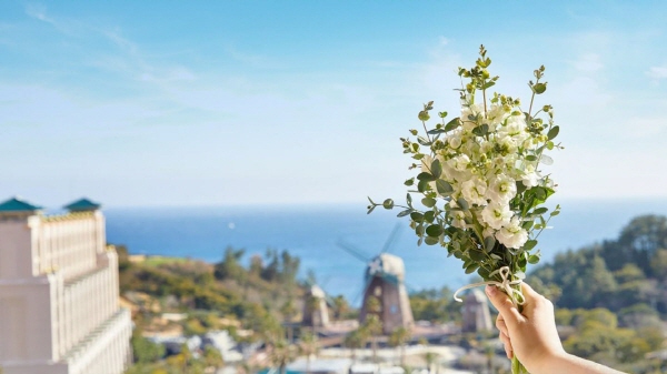 롯데호텔 제주에서 선보인 봄 패키지 이미지. (사진=호텔롯데)