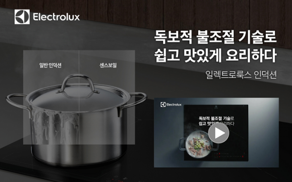 (사진=일렉트로룩스)