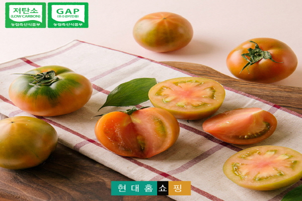 (사진=현대홈쇼핑)