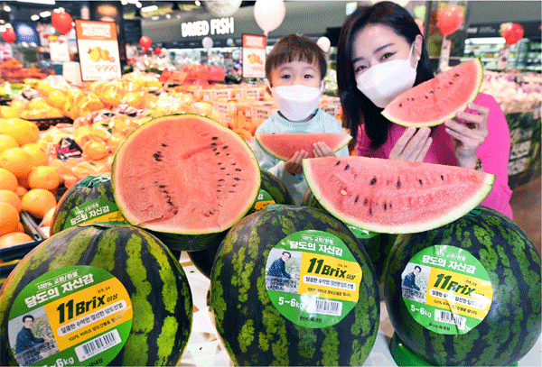 22일 서울 등촌동 홈플러스 강서점에서 모델들이 함안산 '100% 당도선별 수박'을 소개하고 있다. (사진=홈플러스) 