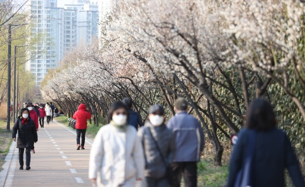 21일 오후 서울 성동구 지하철 용답역 인근 산책로 매화나무에 꽃이 피어 있다. (사진=연합뉴스)