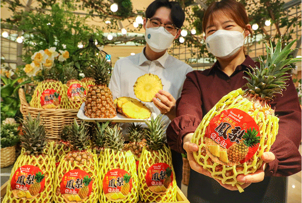 30일 서울 양천구 현대백화점 목동점 지하 2층 식품관에서 직원들이 대만산 파인애플을 보여주고 있다. (사진=현대백화점) 