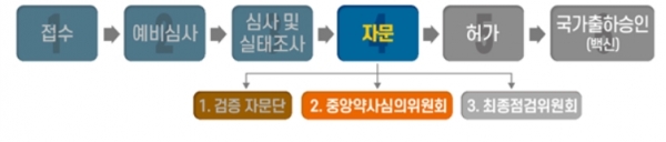 코로나19 백신 허가·심사 진행 상황 (표=식품의약품안전처)