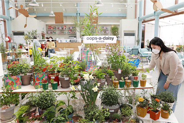 3일 경기 안산시 단원구 고잔동 롯데백화점 안산점 신관 5층 '웁스 어 데이지 바이(oops-a-daisy by) 소공원'에서 한 여성이 꽃과 식물을 살펴보고 있다. (사진=롯데백화점) 