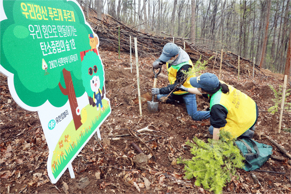 3일 경기 용인시 처인구 이동읍 석포숲에서 열린 '2021 우리강산 푸르게 푸르게 신혼부부 나무심기' 행사에 참여자들이 묘목을 심고 있다. (사진=유한킴벌리) 