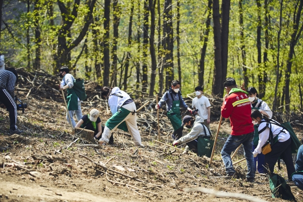 한화 '태양의 숲 8호' 조성을 위해 참가자들이 나무를 심고 있다. (사진=한화)