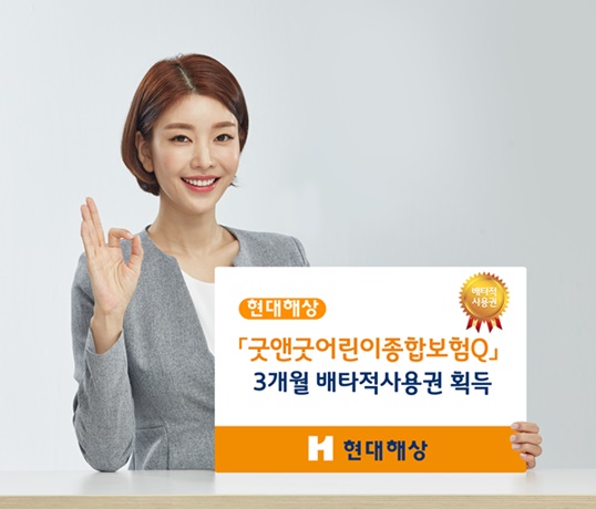 (사진=현대해상)