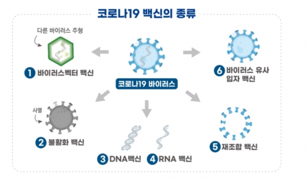 코로나19 백신 종류 (도식=식품의약품안전처)