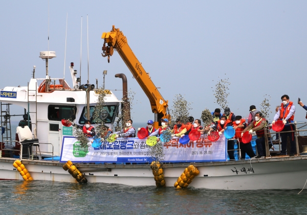 현대오일뱅크가 새끼 우럭과 광어 25만마리를 방류하고 있다. (사진=현대오일뱅크)