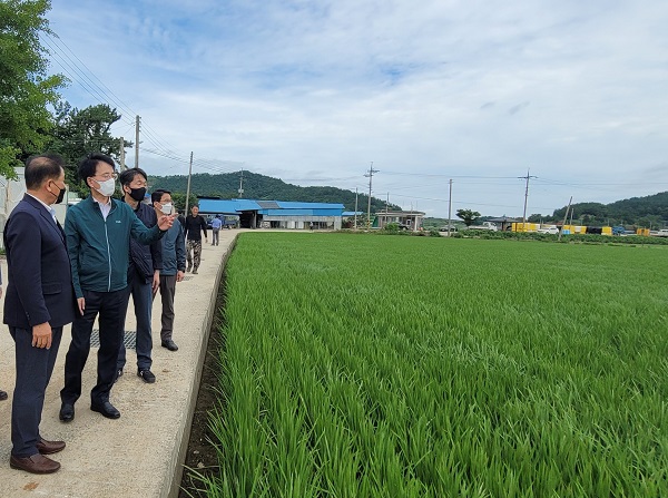 손병환 NH농협금융지주 회장(왼쪽에서 두 번째)이 농업인, 농협 관계자 등과 함께 피해현황을 살펴보며 이야기를 나누고 있다. (사진=)