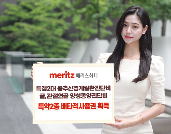 (사진=메리츠화재)