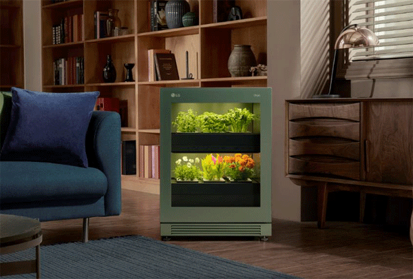 11번가에서 예약 판매하는 'LG 틔운' (사진=11번가) 