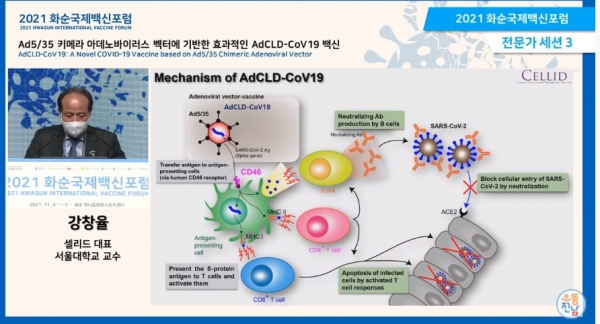 4일 오후 강창율 셀리드 대표가 온라인 간담회에서 코로나19 백신 개발 성과를 밝히고 있다. (사진=온라인 간담회 캡처)
