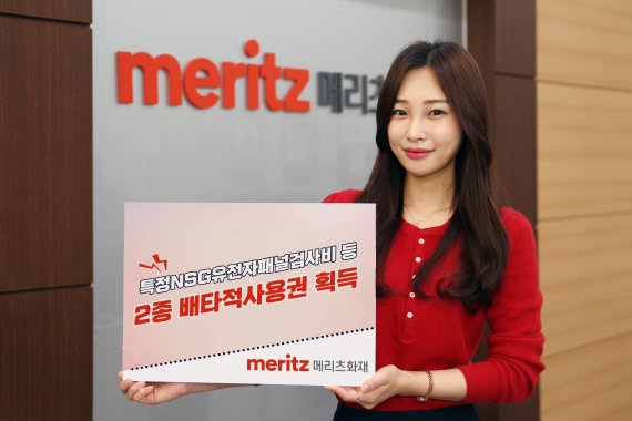 (사진=메리츠화재)
