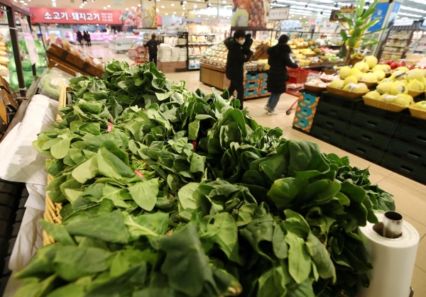 기름값, 외식비 등 서비스 가격, 농축수산물 가격 상승이 11월 물가 상승을 주도했다는 의미다. 사진은 지난 2일 서울 한 대형마트에서 장 보는 시민의 모습.(사진=연합뉴스)