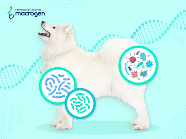 반려견 장내미생물 분석 서비스 홍보물 (사진=마크로젠) <br>
