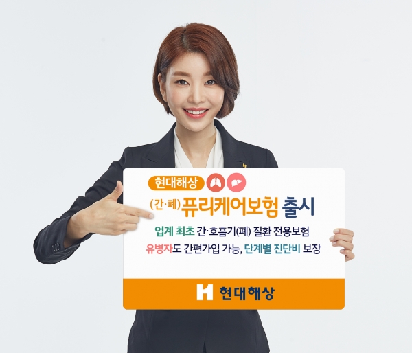 (사진=현대해상)