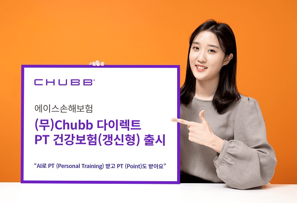 (사진=에이스손보)