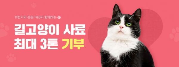 11번가 길고양기 사료 기부 프로모션 (사진=11번가)