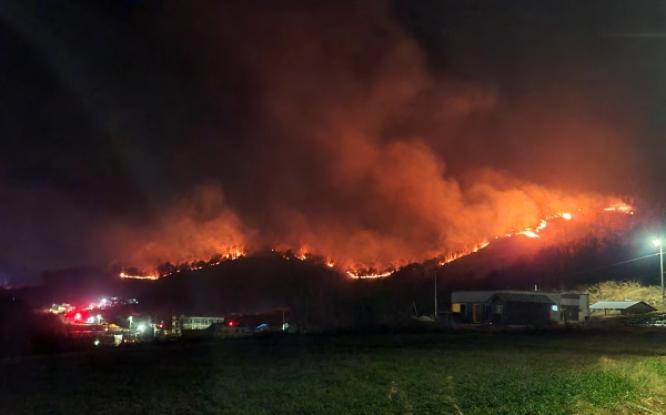 지난 4일 강릉시 옥계면에서 발생해 동해시까지 확산한 산불이 6일 새벽 망상동 지역에서 긴 띠를 형성하면서 동쪽으로 향하고 있다. (사진=연합뉴스)