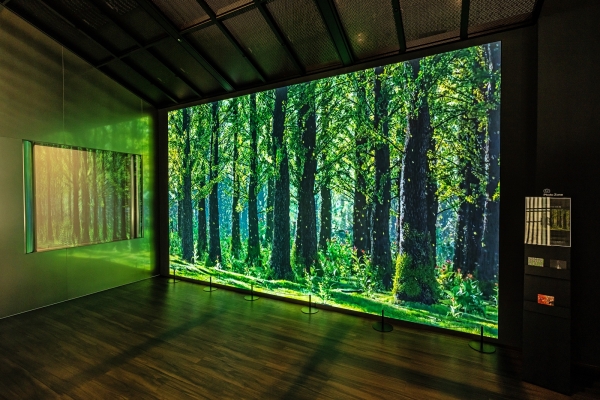 SK텔레콤은 3월 한 달 동안 본사 미디어월에 온실가스 감축을 주제로 한 미디어 아트 '동행(A Journey to Green Forest with SK)'을 전시해 구성원과 고객들에게 친환경 경영의 필요성을 알린다고 7일 밝혔다. (사진=SK텔레콤)