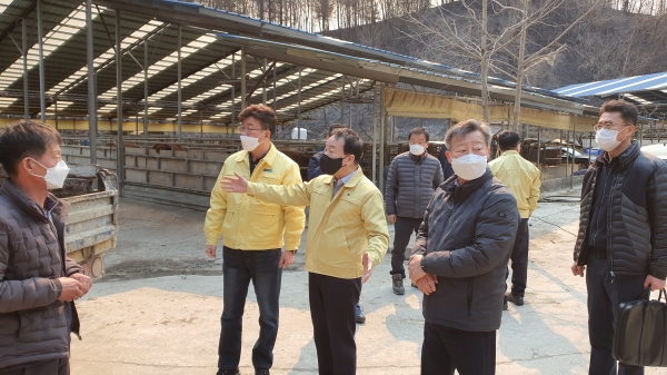 (사진=NH농협손보)