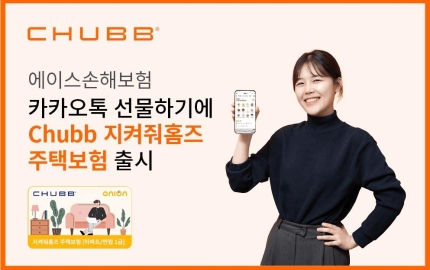 (사진=에이스손보)