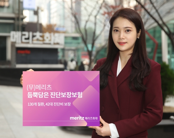 (사진=메리츠화재)