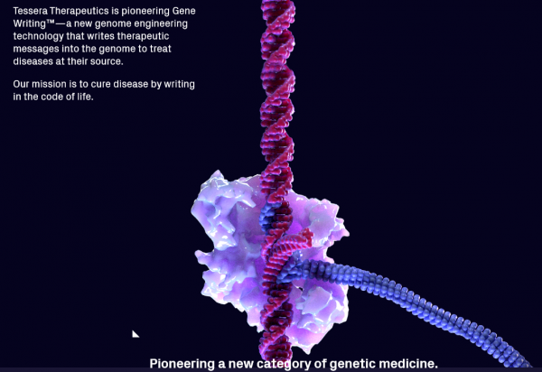 테세라 테라퓨틱스 홈페이지 (사진=한화임팩트)