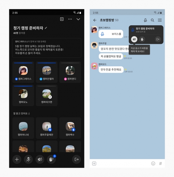 '보이스룸' 참고 이미지. (사진=카카오)