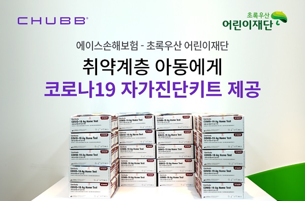 (사진=에이스손보)