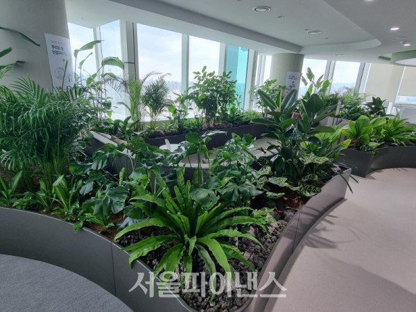휴게 공간을 비롯해 많은 공간들이 식물로 꾸며져 있다. 마치 휴양지 기분이 나기도 한다. (사진=이호정 기자)