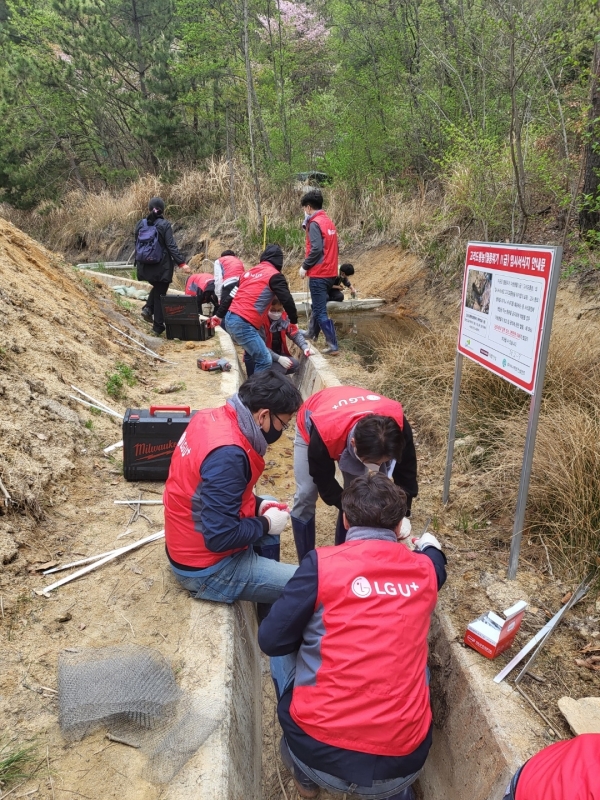 LG유플러스 임직원의 봉사활동 중 야생개구리가 사다리를 타고 수로를 넘어가고 있는 모습. (사진=LG유플러스)