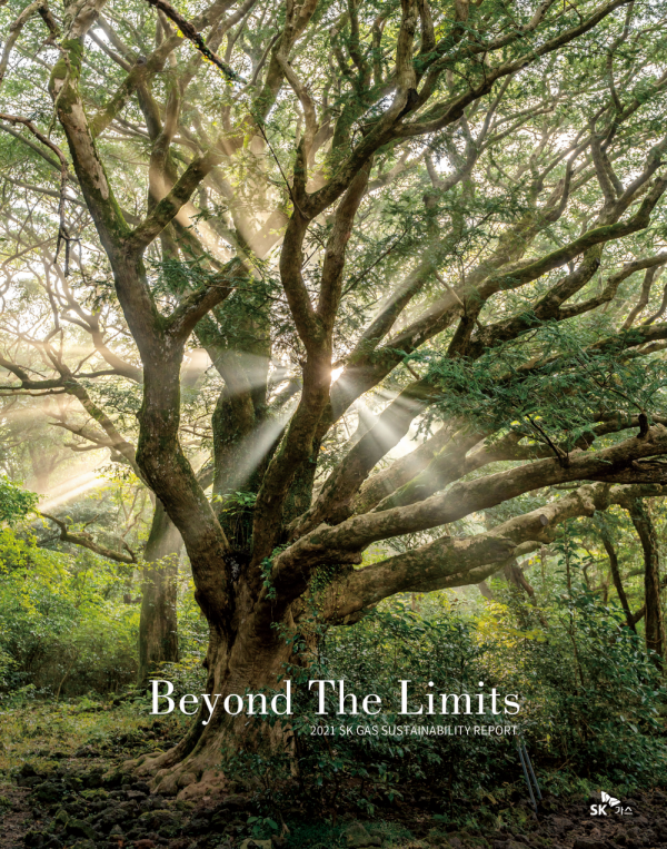 SK가스의 지속가능경영보고서 표지 (사진=SK가스)