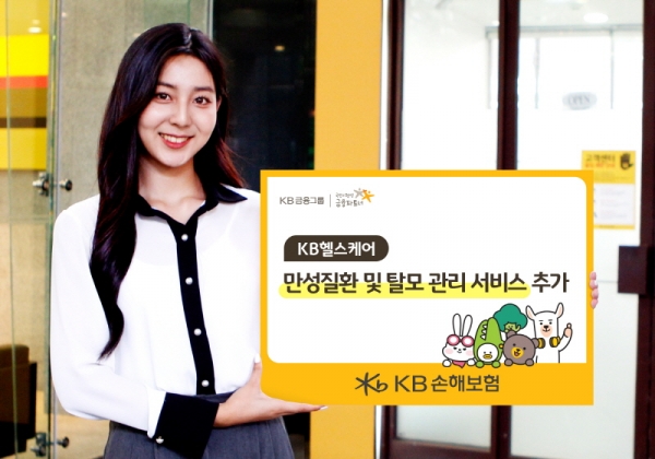 (사진=KB손해보험)