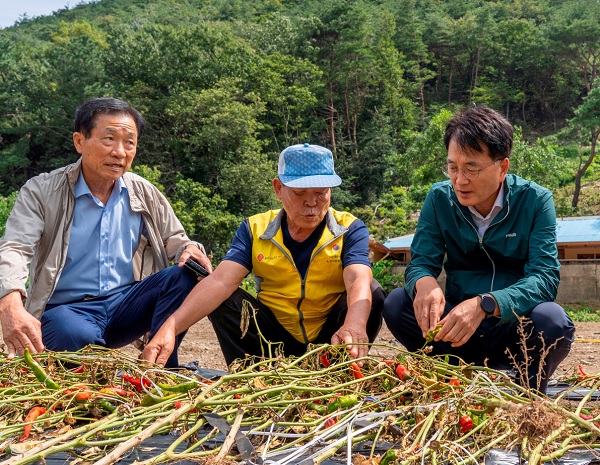 손병환 NH농협금융지주 회장(맨 오른쪽)이 폭우피해를 입은 농업인을 위로하고 피해현장 점검에 나서고 있다. (사진=NH농협금융지주)