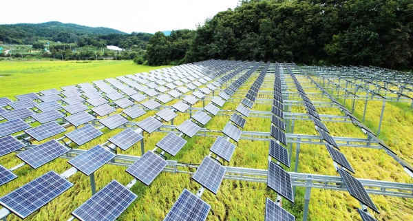 경남 함양군 기동마을에 설치된 영농형태양광 단지 전경 (사진=한화큐셀)